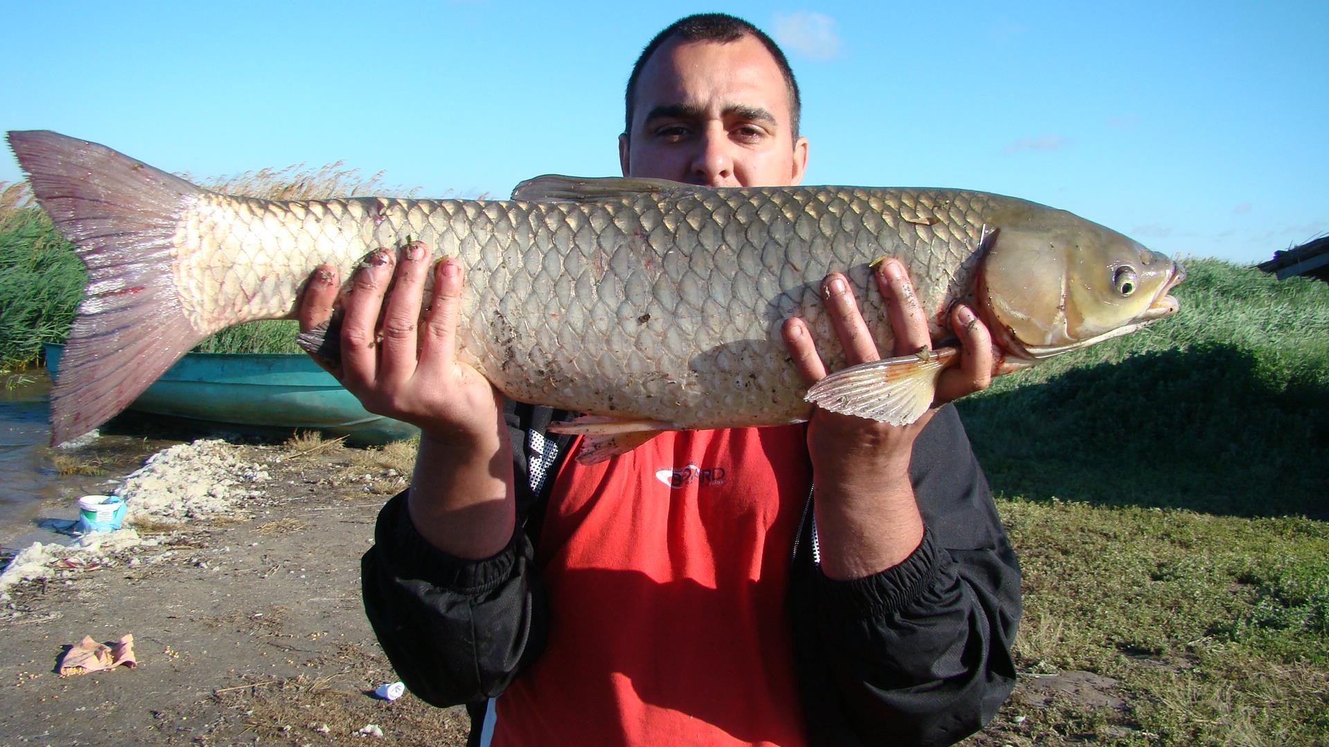 Blasova Mai 2013 - dsc02555.JPG